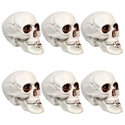 Northlight Skeleton Skull Halloween Decorations - 3.5" - Pack Of 6 - Image 5