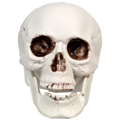 Northlight Skeleton Skull Halloween Decorations - 3.5" - Pack Of 6 - Image 2