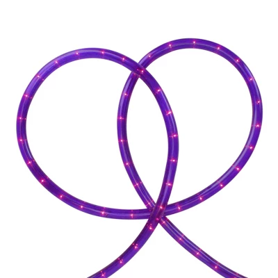 Northlight Flexible Outdoor Incandescent Christmas Rope Lights - Purple - 18' Clear Wire - Image 2