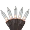 Northlight Mini Net Style Incandescent Christmas Lights - 2' X 8' - Clear - Brown Wire