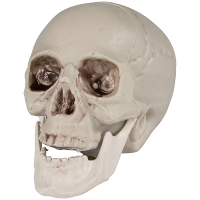 Northlight Skeleton Skulls Halloween Decorations - 4.5" - Set Of 6 - Image 5
