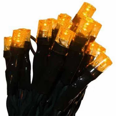 Northlight 20ct Wide Angle LED Battery Operated String Lights Gold - 6.25' Green Wire