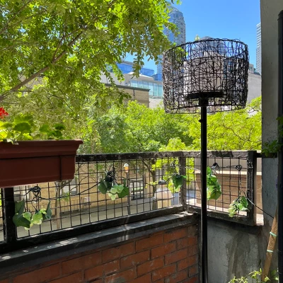 Northlight Grape Cluster Outdoor Patio String Light Set - Green - 6' Green Wire - 5ct - Image 6