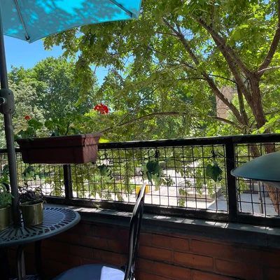 Northlight Grape Cluster Outdoor Patio String Light Set - Green - 6' Green Wire - 5ct - Image 5