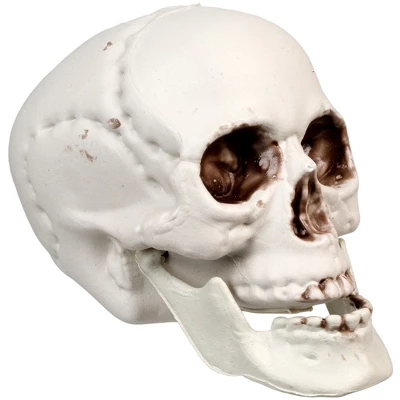 Northlight Skeleton Skull Halloween Decorations - 3.5" - Pack Of 6 - Image 3