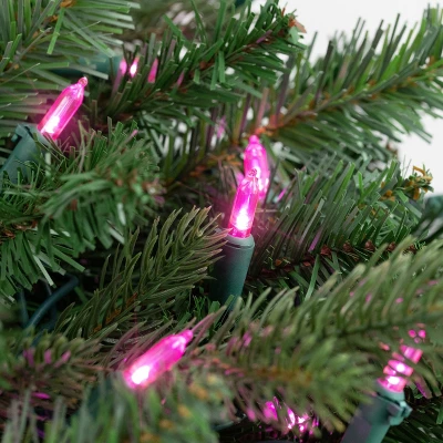Northlight 50ct LED Mini String Lights Pink - 16.25' Green Wire