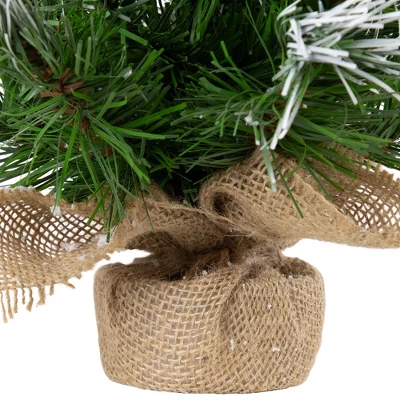 Northlight Whitecap Pine Artificial Mini Christmas Tree - 14" - Unlit - Image 4