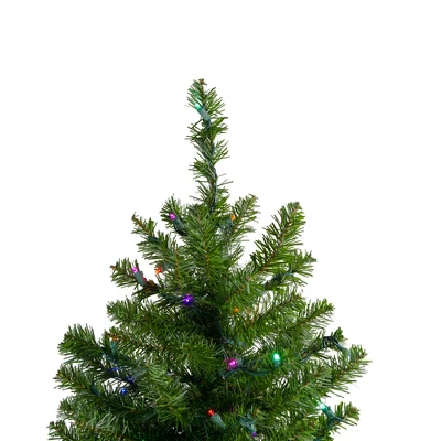 Northlight 2' Prelit Artificial Christmas Tree Canadian Pine - Multicolor LED Lights - Image 2