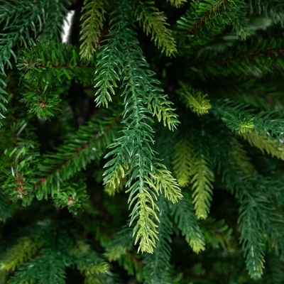 Northlight Real Touch™️ Two-Tone River Deer Pine Full Artificial Christmas Tree - 6.5' - Unlit - Image 4