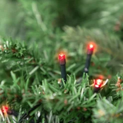 Northlight Battery Operated LED Christmas Lights - Red - 9.5' Green Wire - 20ct