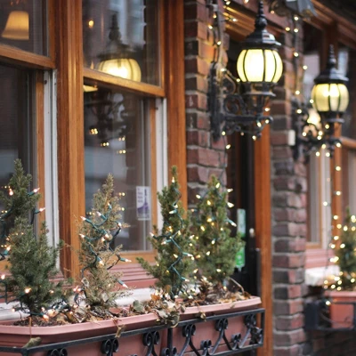 Northlight 10-Count Clear Mini Christmas Light Set - 3' Green Wire - Image 7