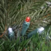 Northlight 50ct Red And White LED Wide Angle Christmas Lights, 16.25ft Green Wire
