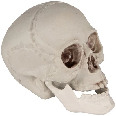 Northlight Skeleton Skulls Halloween Decorations - 4.5" - Set Of 6 - Image 3